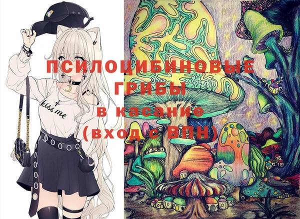 мдпв Алексин