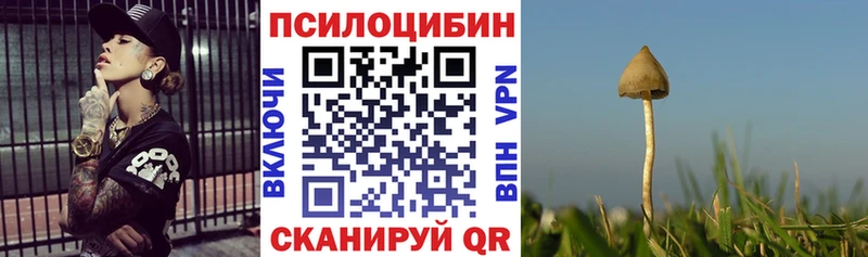 Галлюциногенные грибы мицелий  Себеж 